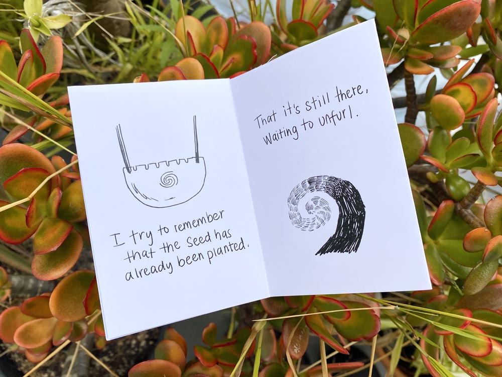 An illustration by Kim Anderson with the words "I try to remember that the seed has been planted" and then "That it's still there, waiting to unfurl"